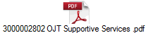 3000002802 OJT Supportive Services .pdf