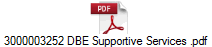 3000003252 DBE Supportive Services .pdf